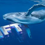 ¿Quiénes son las principales «ballenas» de NFT y qué colecciones tienen?